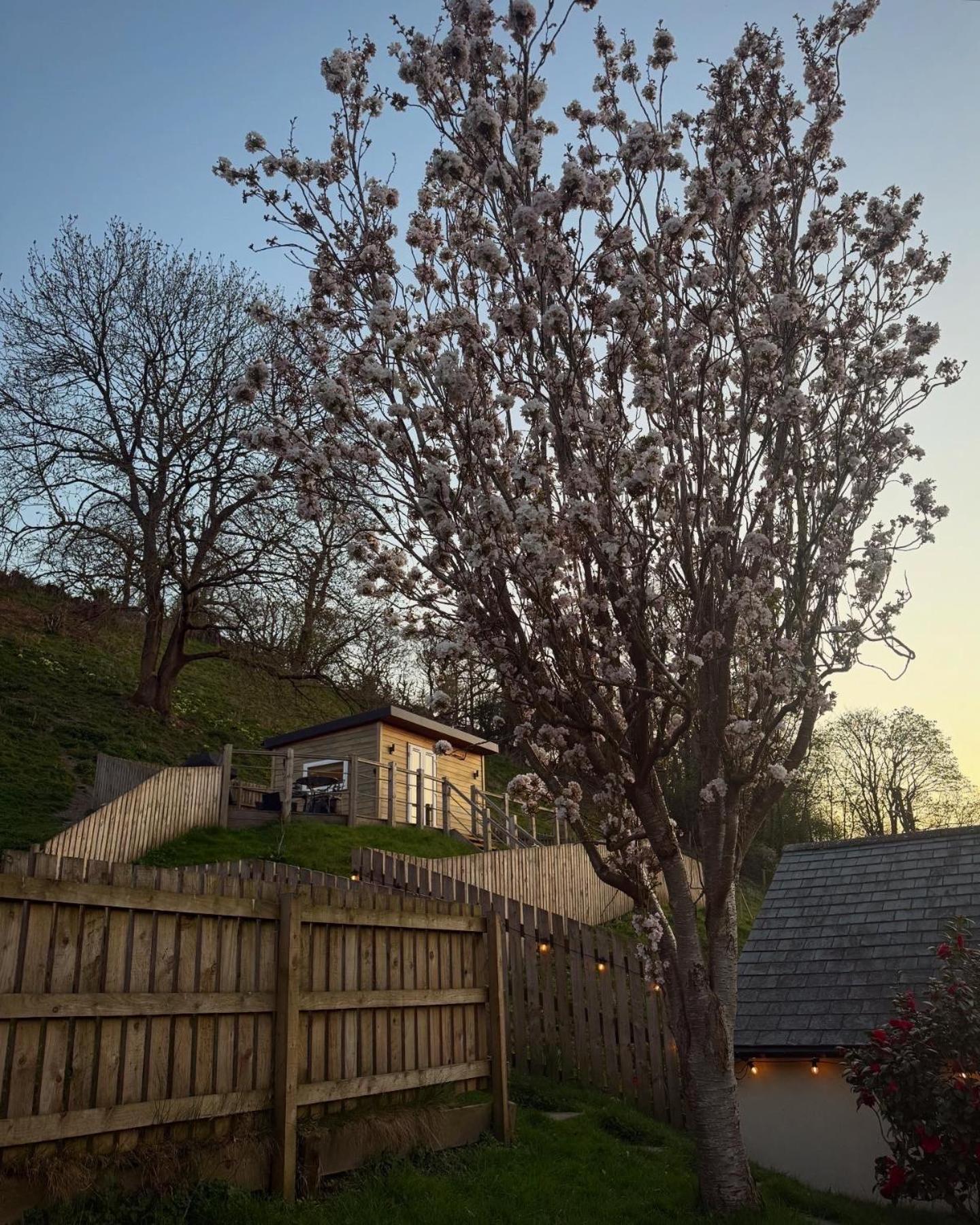 Castle View Chalet Llangollen